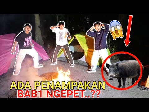 ASLI!! PENAMPAKAN BABI NGEPET DITENGAH HUTAN, INI SILUMAN ATAU APA?? | Mikael TubeHD