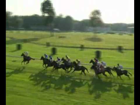 2016.09.11 Slovenské Oaks - Saintnixa