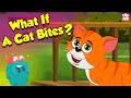 Is Cat Bite Dangerous How Cat Bite Learn About Cats With Dr Binocs Show Peekaboo Kidz
