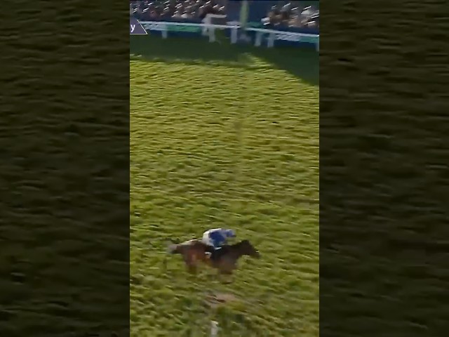 Thumbnail for Post ID: kO6bo1yThg4