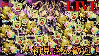 【パズドラ】遅延たまぁ～集め！！！