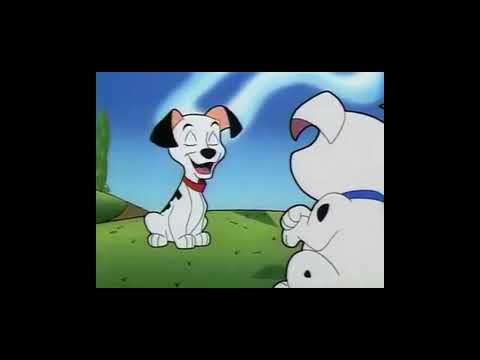 The Lion Cub and the Bear Cub Part 5 - Lucky and Rolly