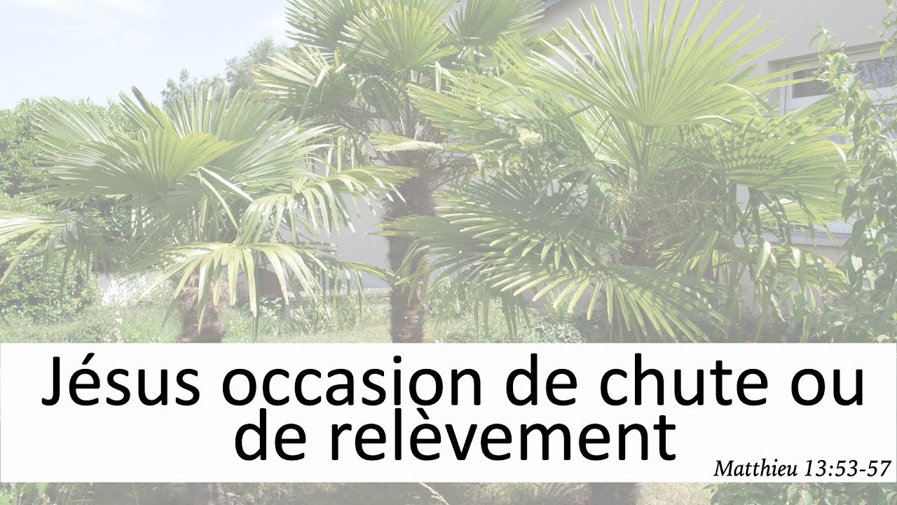 Dimanche 25 mai 2025 - Matthieu 13:53-57