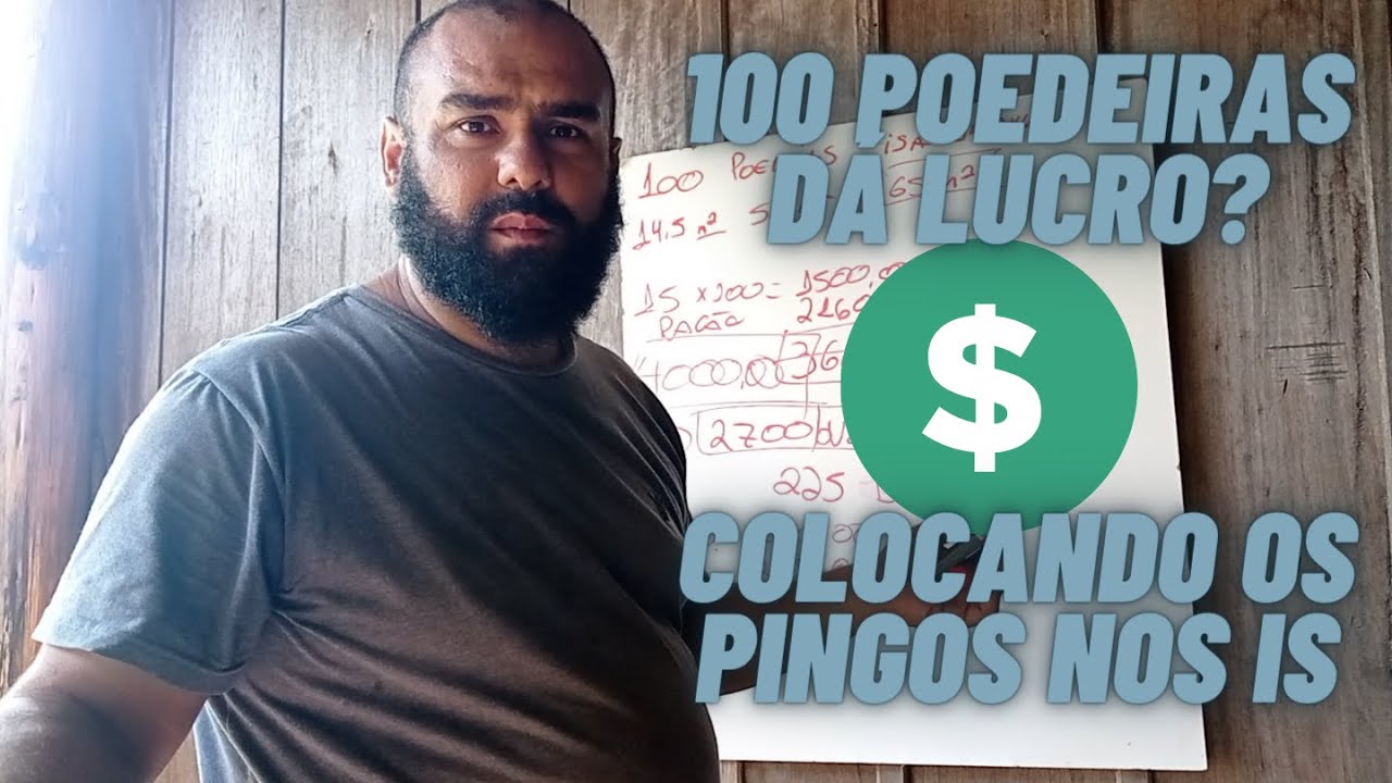 COMO GANHAR DINHEIRO COM 100 GALINHAS POEDEIRAS: VEJA E COMPROVE COMO FAZER!!