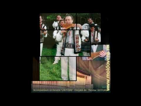 Boris Rudenco - Silviana