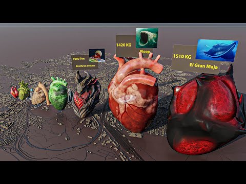 Monster Heart Size Comparison 💓🦑🐉  | BLOOP VS SEA EATER