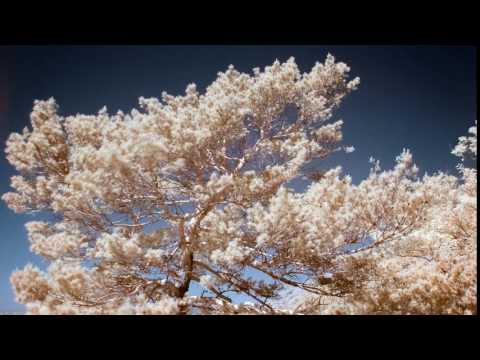 Timelapse near IR 720NM (Test)