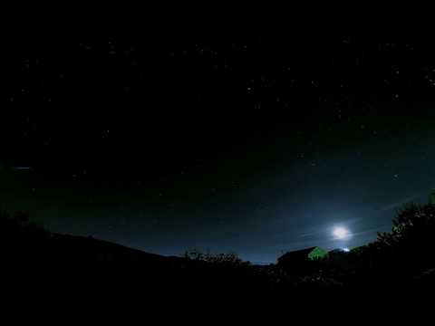 SNFLWR - Saudade (feat. Jura, Shamanskee)