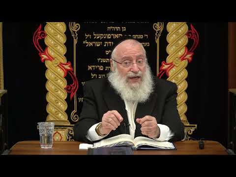 The Correct Time for Sefiras HaOmer | Weekly Shiur by Rav Asher Weiss Shlit"a (5785)