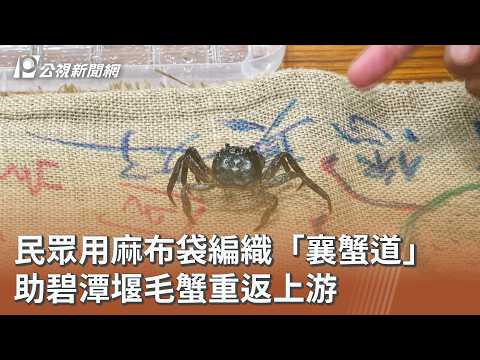 youtube影片