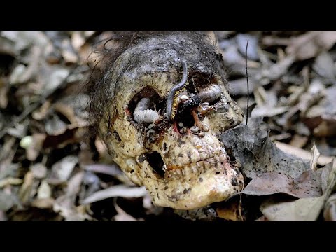 Episode 2: Cannibal Holocaust (1980)