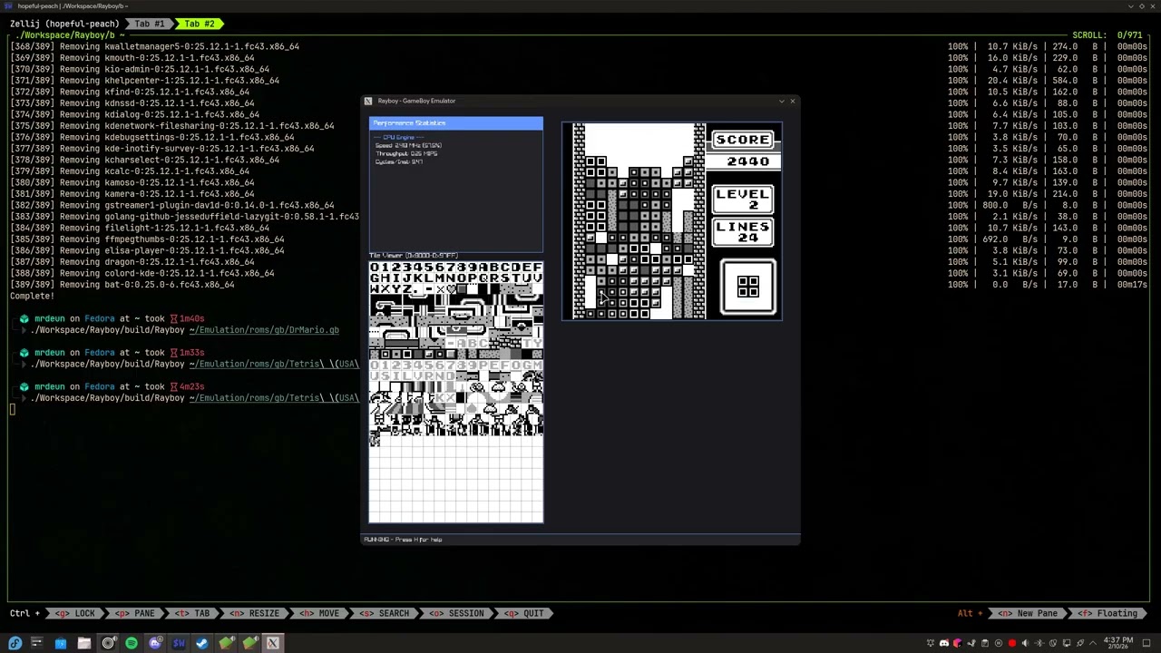Playable Gameboy Emulator - Rayboy!