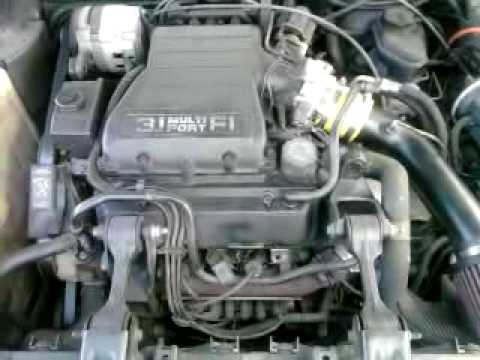 3.1 Cutlass