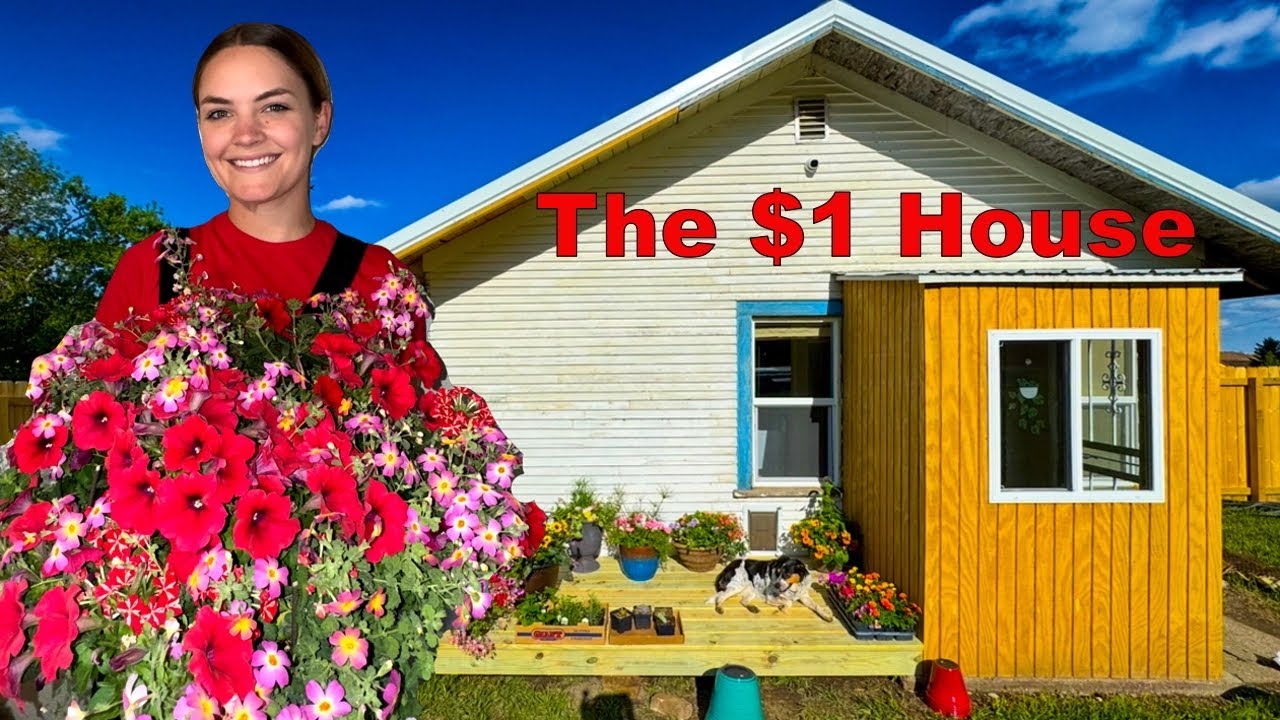 My $1 House: Backyard Glow-Up + Doggy Deck