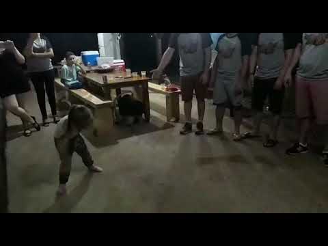 Só na picadinha com os amigos do gole