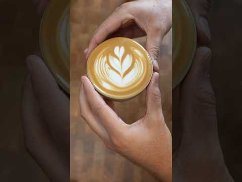 How to Steam Milk for Latte Art