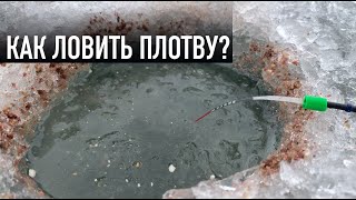 Паша где и на что ловить плотву