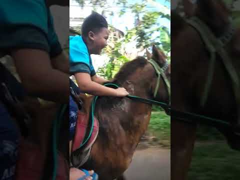 Fabian, 9 Tahun. Penunggang Kuda Tercepat di Jalan Raya asal Purwodadi Pasuruan Jawa Timur.