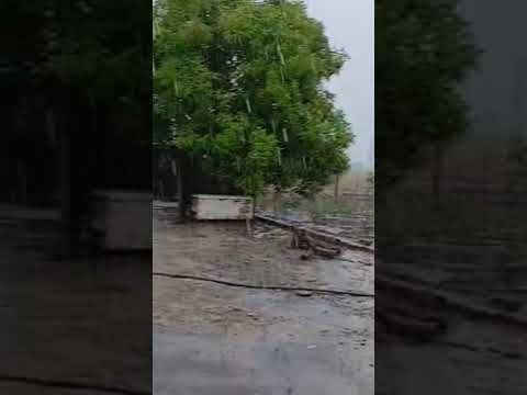 chuva forte em vila recrear/alto alegre/Roraima #shorts