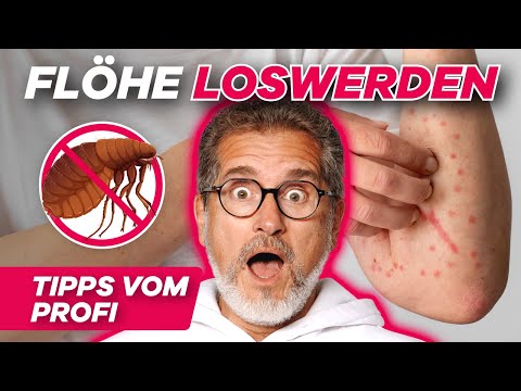 How to get rid of fleas in your home - it always works!