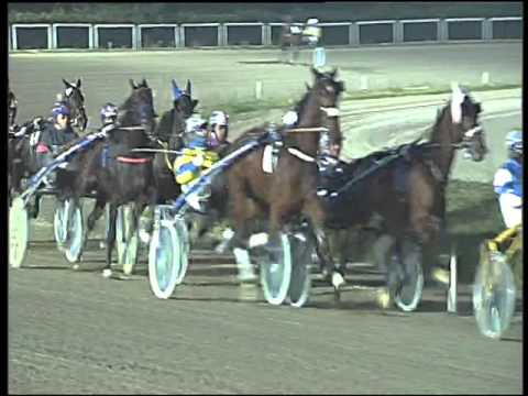 Trotto 27/12/2015 - 7° corsa