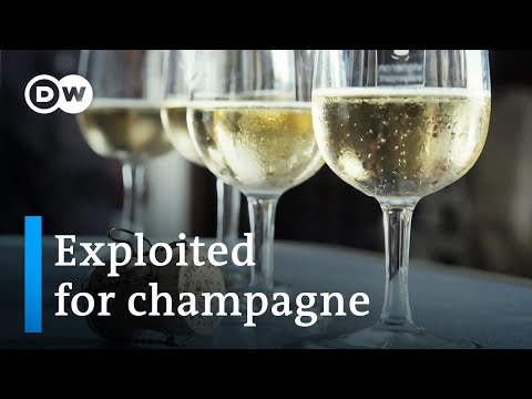 The Dark Side of the Champagne Industry
