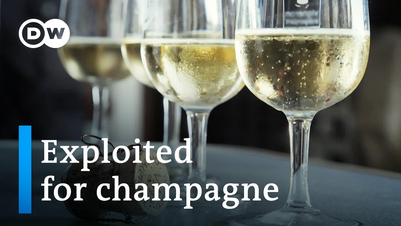 The dark side of the champagne industry | DW Documentary