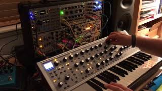 Moog Subsequent 37 CV