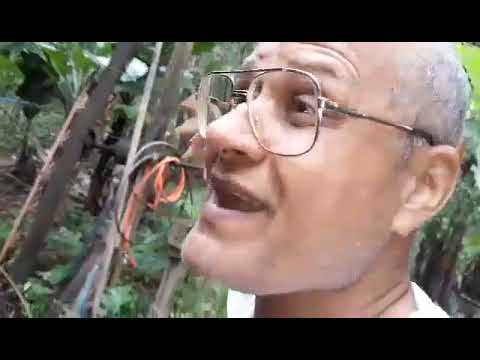 Nasceu o maior gênio cientista em Barra de São Francisco Espírito Santo, Brasi#professorpardalmaluco