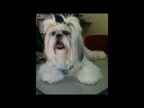 Bingo Players - Remix