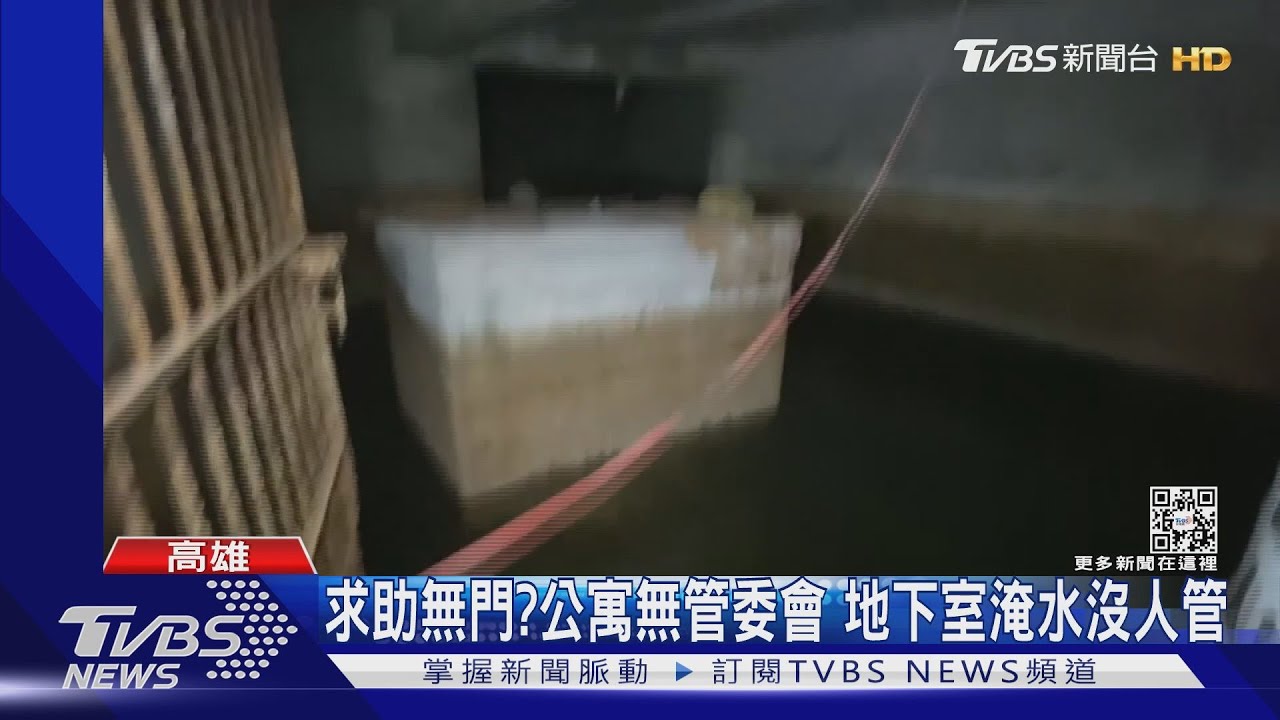 養魚吃孑孓！老公寓地下室長年淹水　沒管委會無人管