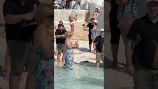 The Wonder Of Cleopatra Pool Fun Pamukkale Turkey -Sunny Day #pamukkale #pool #cleopatra