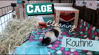 Guinea Pig Cage Cleaning Routine!