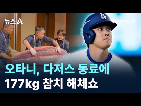 오타니, 다저스 동료에 177kg 참치 해체쇼 선보여