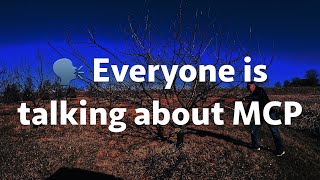Everyone is talking about MCP
