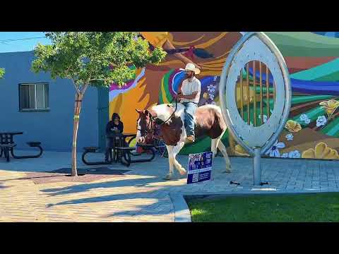 youtube preview