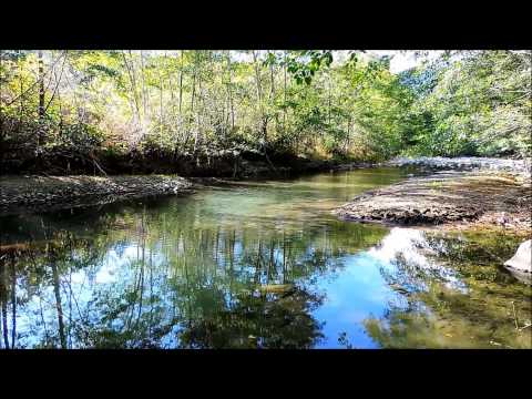 Jorge Cafrune   La Vuelta al Pago
