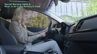 Special Warning Lights & What to Do if the Battery is Dead｜Kia Niro EV
