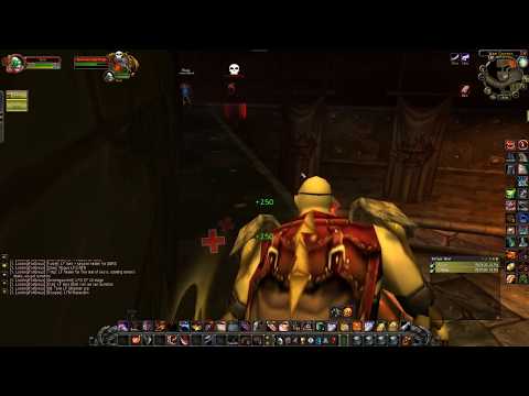 Angerforge 2x Rogue farm