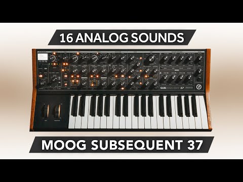 DVK021 - Pure Analog Vol.1 - Moog Sub 37 / Subsequent 37 ( 16 presets ) - Video Preview 2