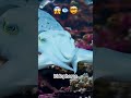 Underwater chameleon: amazing cuttlefish! #shorts