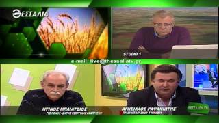 Θεσσαλών Γή 30 11 2015