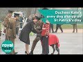 Duchess Kates army dog slip-up on St Patricks.
