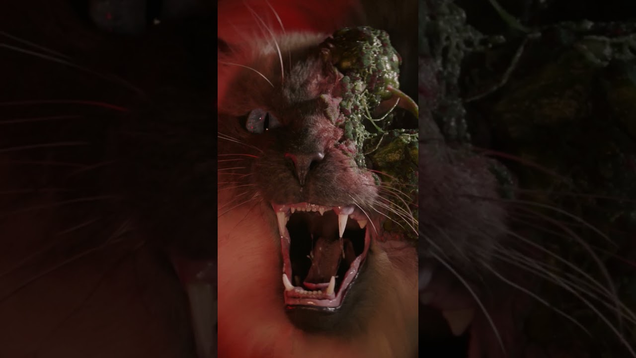 🙀🙀🙀 Cold Storage is in US and UK theaters NOW