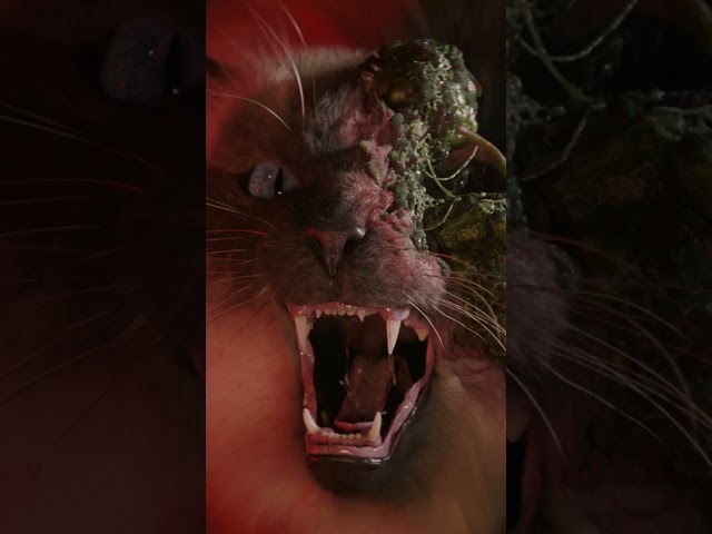 🙀🙀🙀 Cold Storage is in US and UK theaters NOW