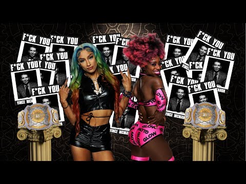 10 Most UNPROFESSIONAL Moments In WWE History