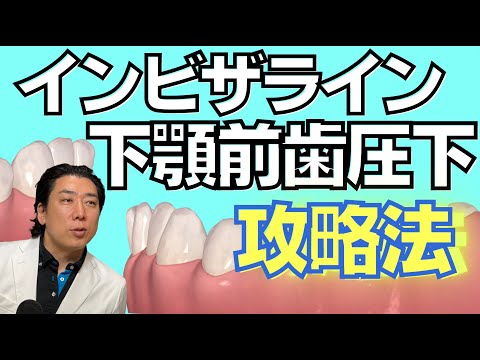下顎について詳しく解説