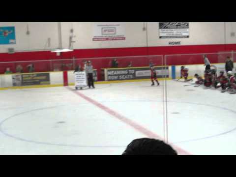 2014.03.09 PCAHA Atom C Gold Group