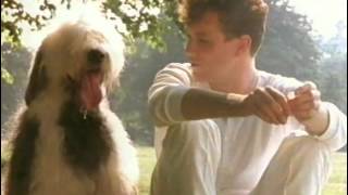 Blancmange   The Day Before You Came   HD
