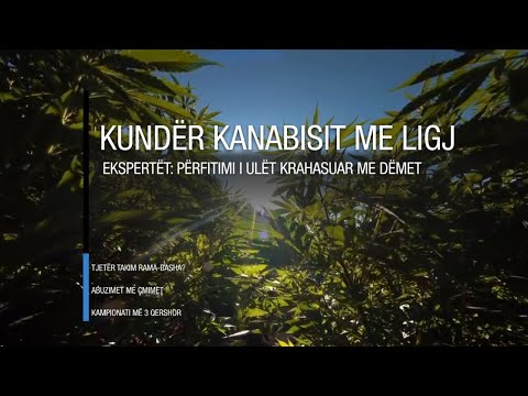 Edicioni informativ i orës 16:00 - 13 maj 2020